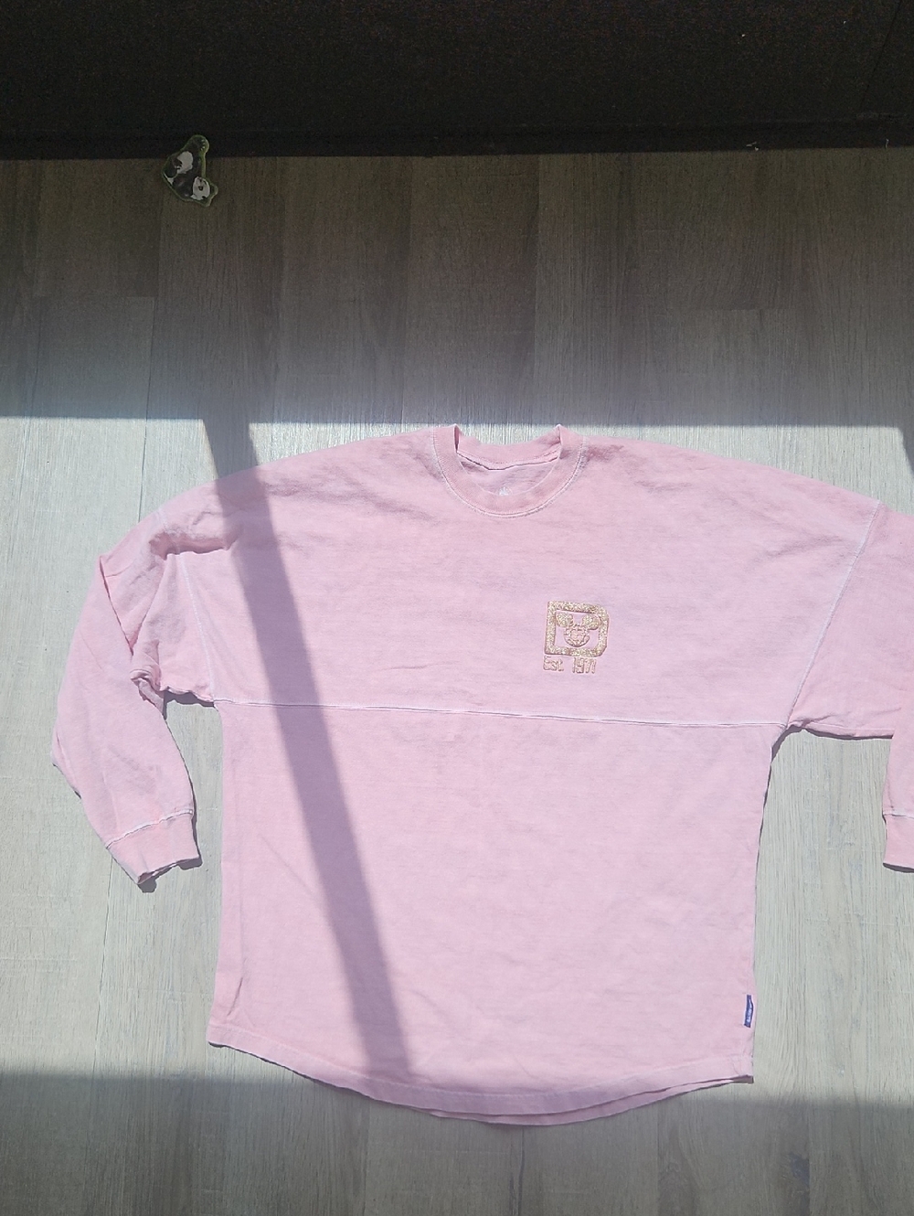 Disney Pink Long Sleeve Spirot Jersey Tee with Walt Disney World